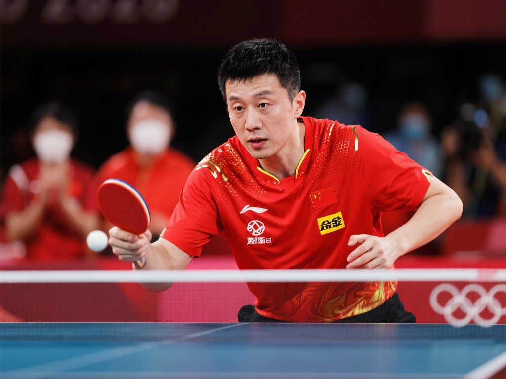 杨希的故事